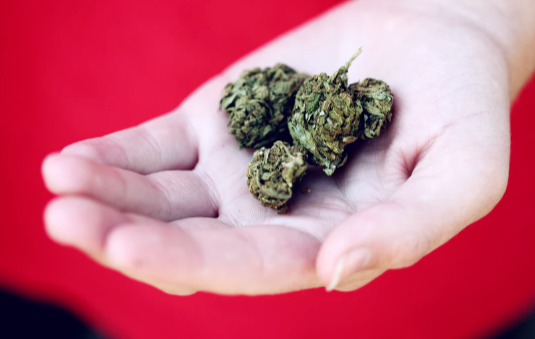 Factors to Consider When You Buy Weed Online