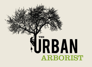 Arborists in Urban