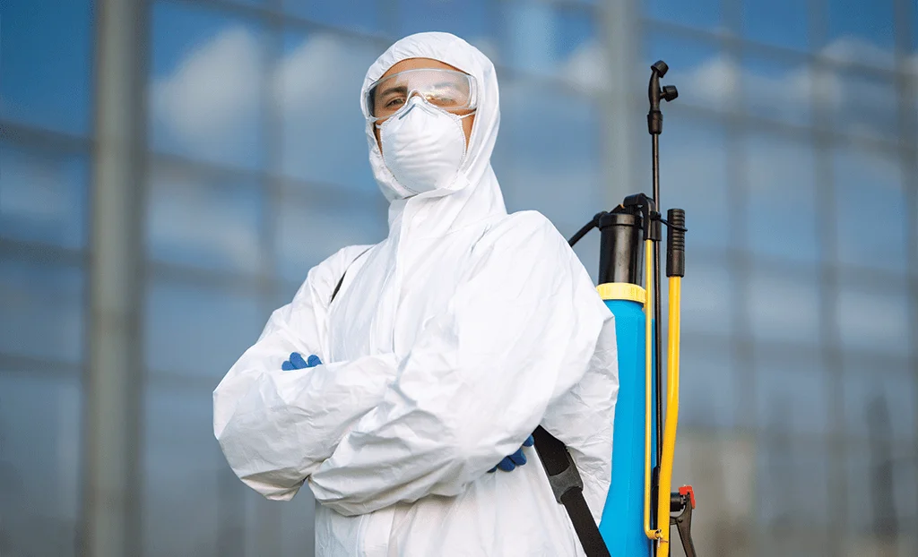 Benefits of Hiring Professional Pest Control Services 