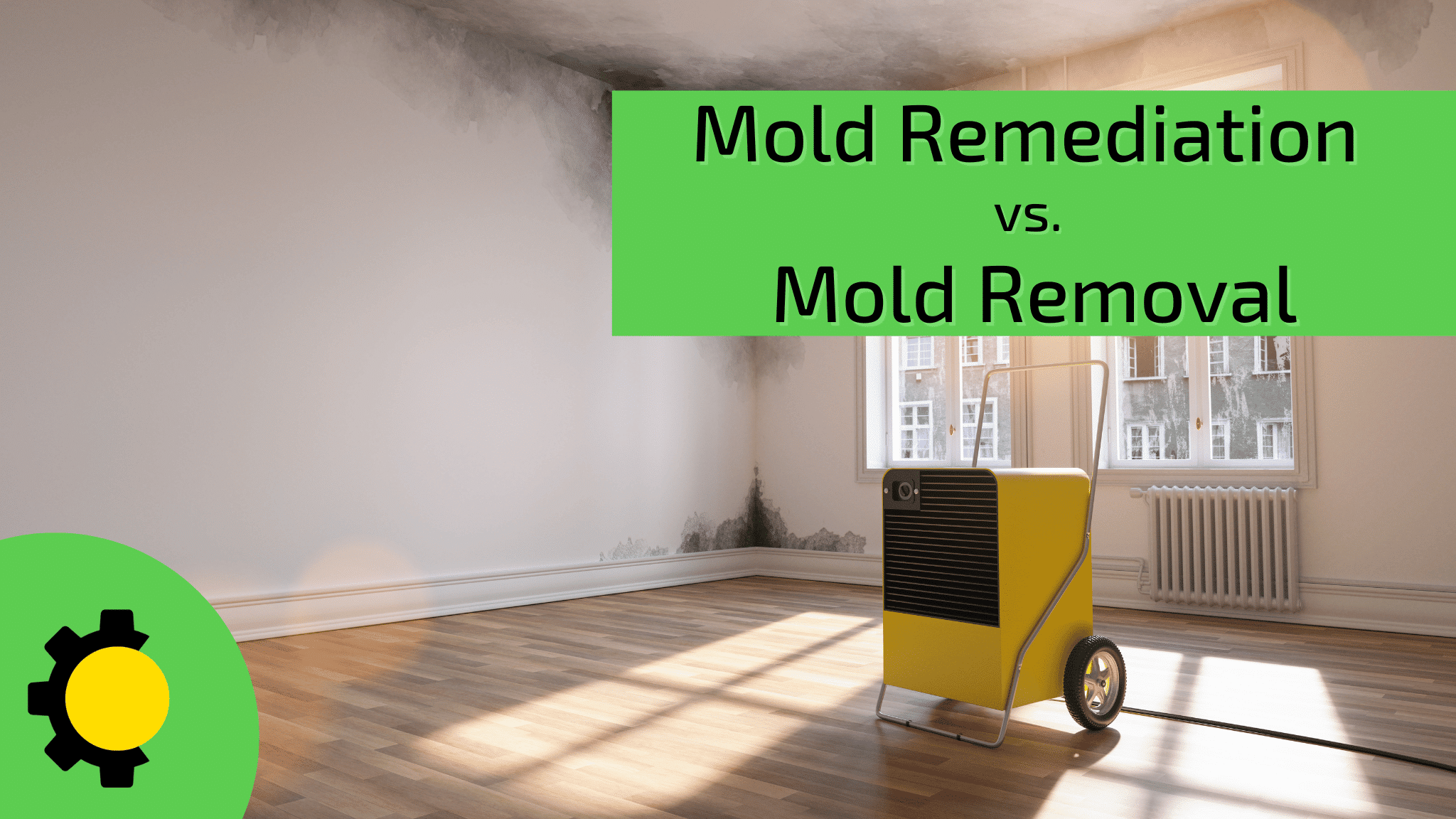 Mold Remediation Services vs. DIY Mold Removal: What’s the Difference?