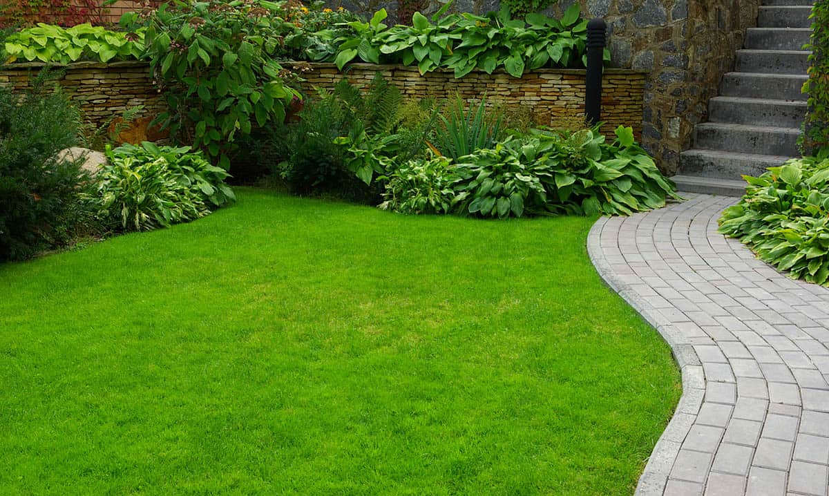 Sydney’s Top Turf Suppliers: How to Choose the Best for Your Lawn