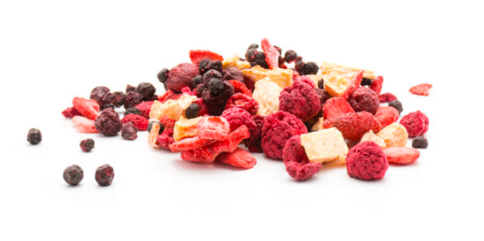 Exploring the Best Freeze Dryers for Long-Term Storage in the Food and Pharmaceutical Industries