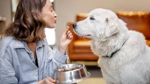 Enhancing Your Dog's Mobility: The Benefits of Joint Supplements