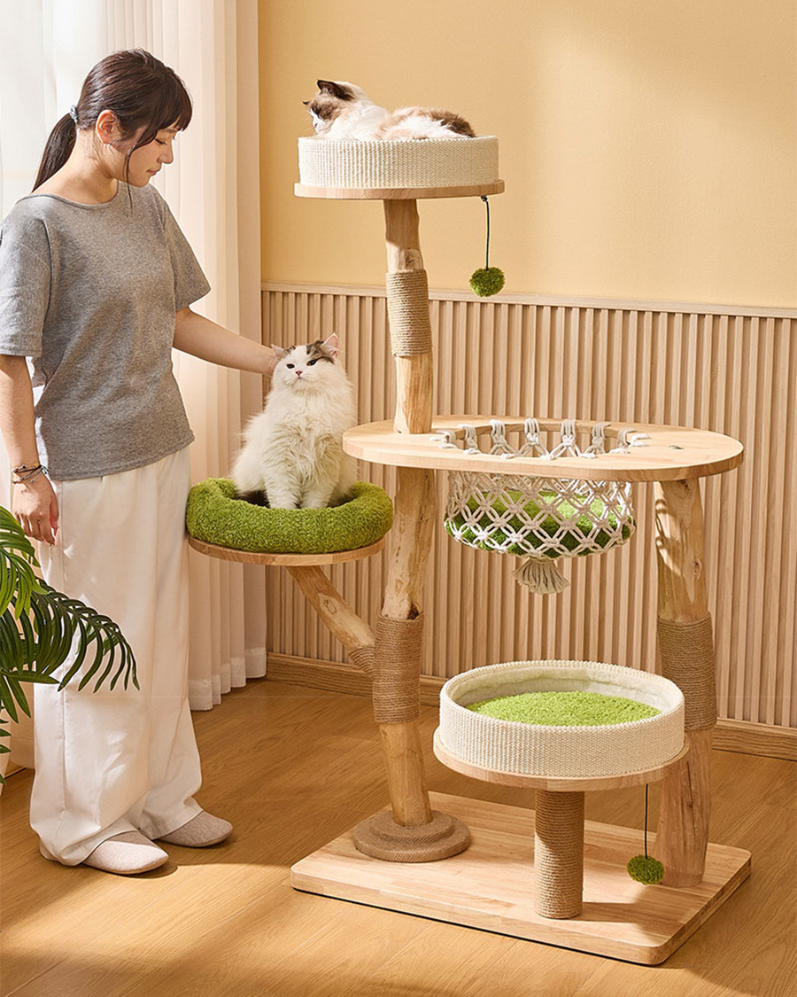 Best Cat Trees for Large Cats – Stable and Durable Choices
